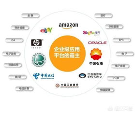 Java與Java開發(fā)工程師在信息系統(tǒng)集成服務(wù)領(lǐng)域的現(xiàn)狀與前景