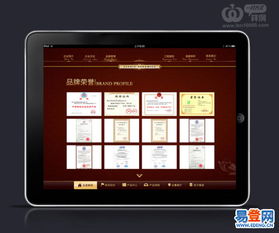 精湛的技術(shù)，優(yōu)秀的服務(wù) 深圳軟件開發(fā)公司的卓越之道